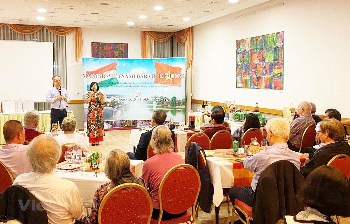 Exchange programme cements Vietnam-Hungary friendship